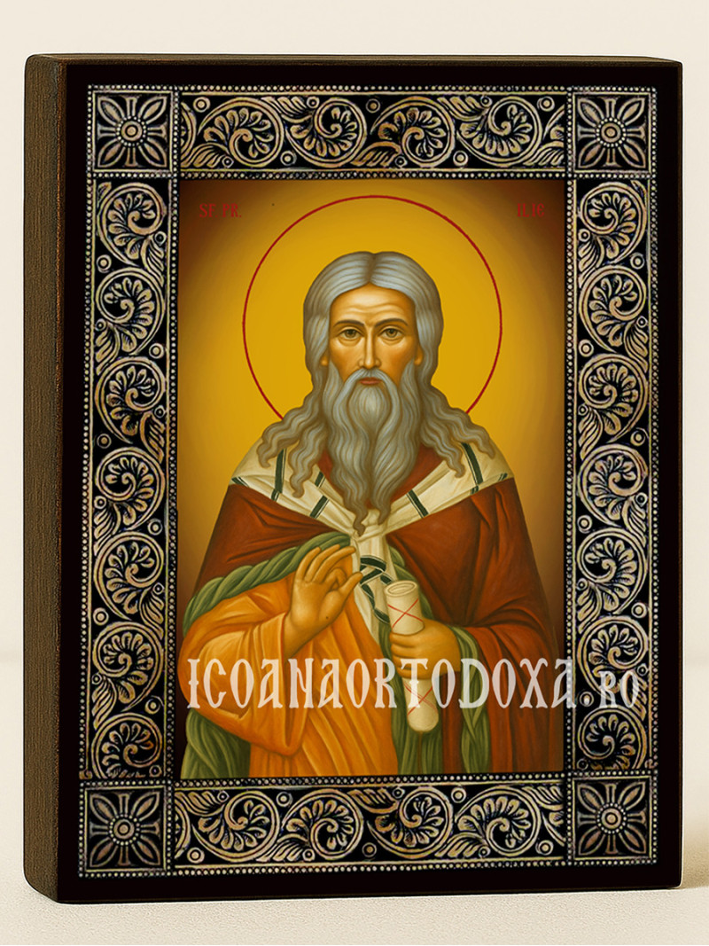 Icoană cu Sfântul Ilie cu ramă florală decorativă