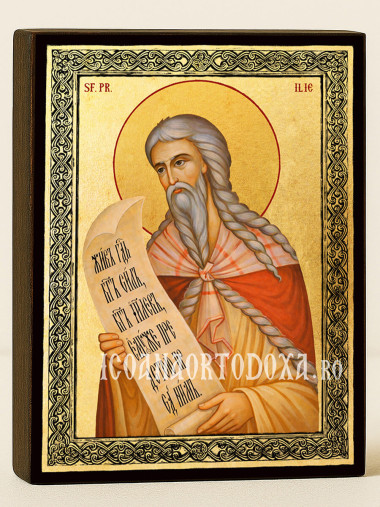 Icoană aurită cu Sfântul Ilie și ramă decorativă