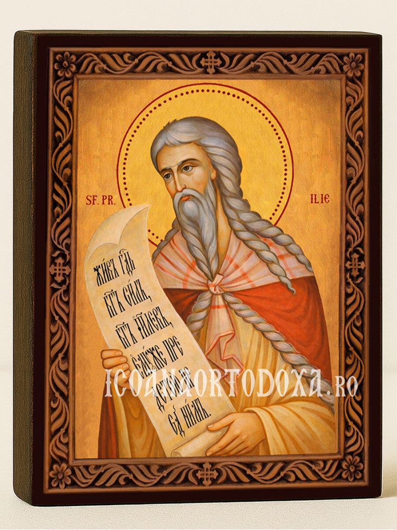 Icoană cu Sfântul Ilie cu ramă decorativă rustică