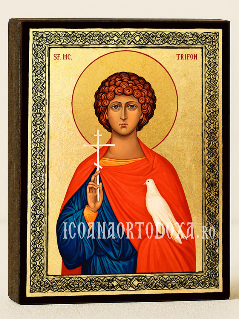 Icoană aurită cu Sfântul Trifon cu fundal auriu și ramă decorativă