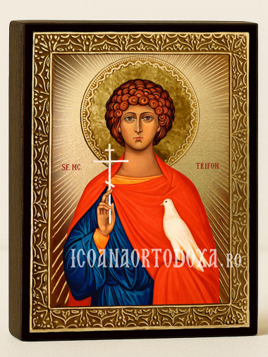 Icoană cu Sfântul Trifon cu raze aurii decorative