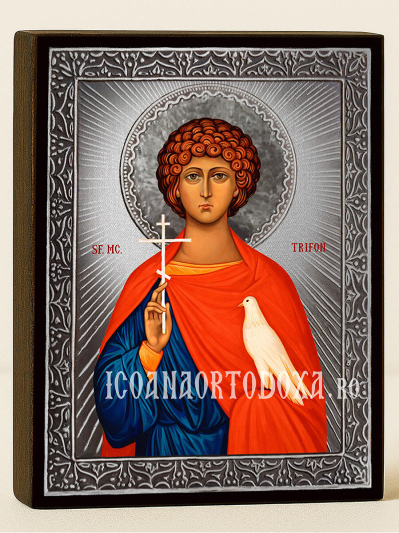 Icoană cu Sfântul Trifon cu raze argintii decorative